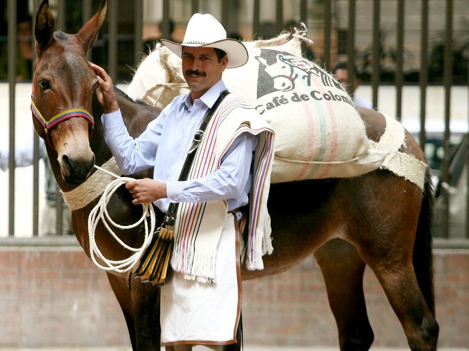 Juan Valdez